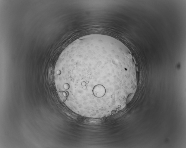 X0000115100475200912081303