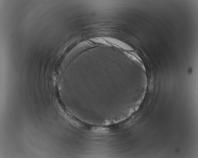 X0000115100476200912081303