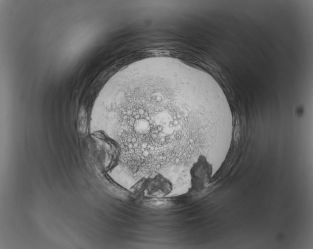 X0000115100477200912081303