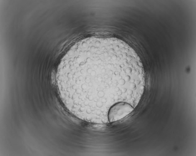 X0000115100478200912081303