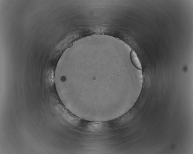 X0000115100479200912081303