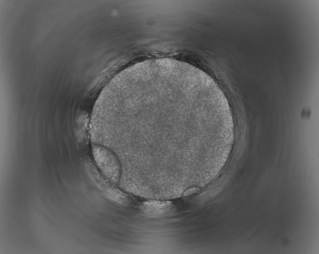 X0000115100480200912081303