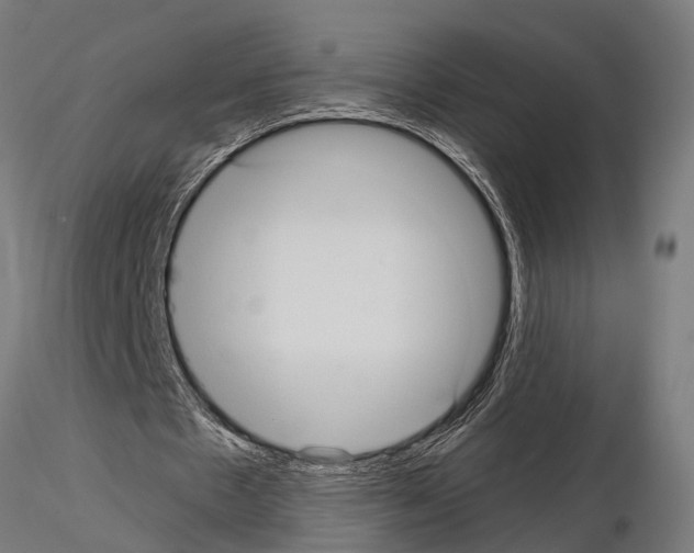 X0000115100481200912081302