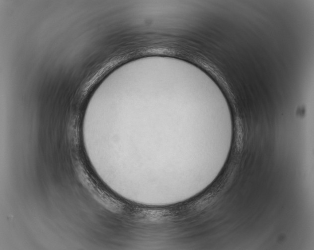 X0000115100482200912081302