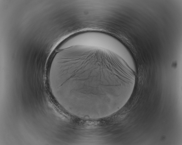 X0000115100484200912081302