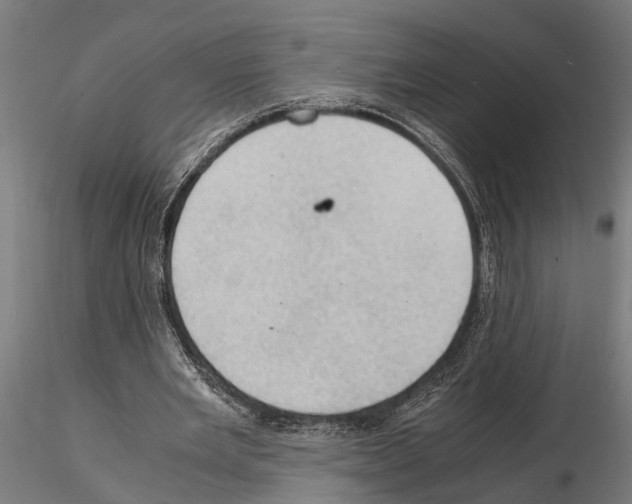 X0000115100485200912081302