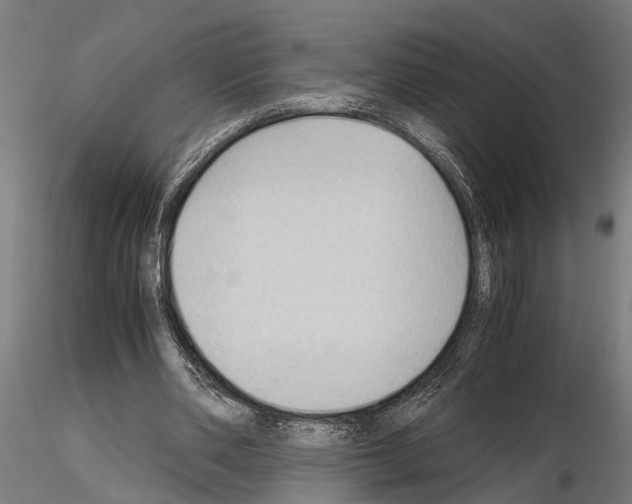 X0000115100486200912081302