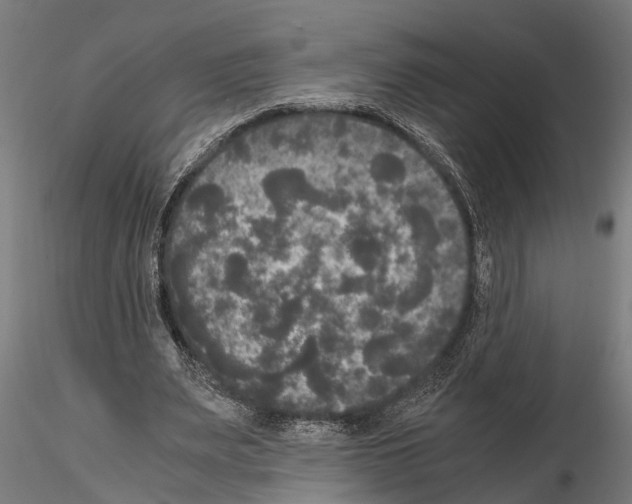 X0000115100487200912081302