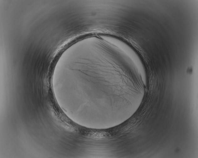 X0000115100488200912081302