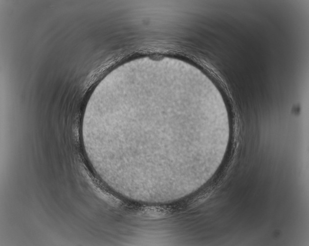 X0000115100489200912081302