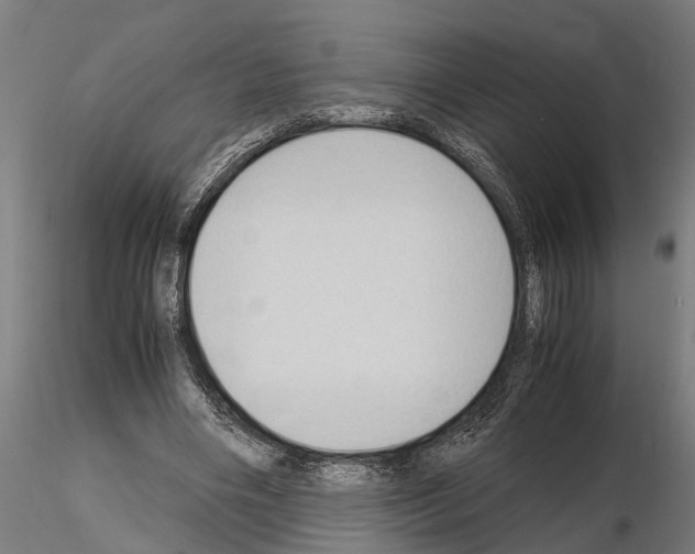 X0000115100490200912081302