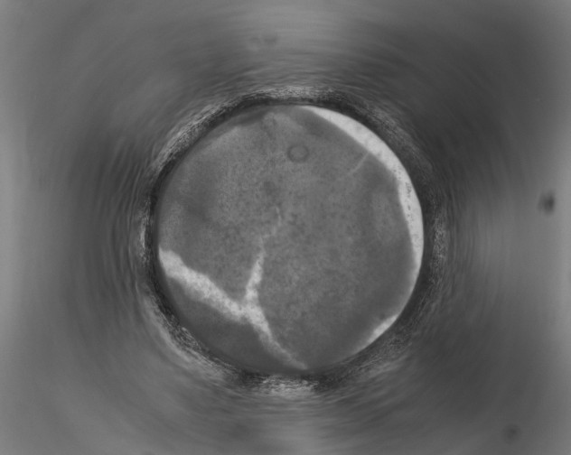 X0000115100491200912081302