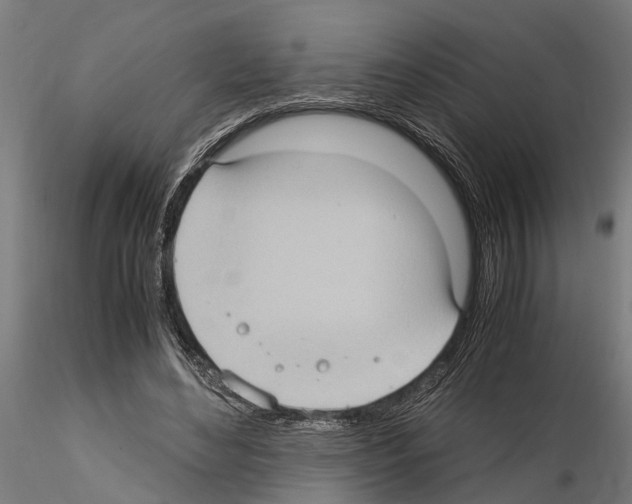 X0000115100492200912081302