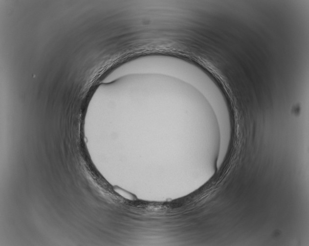 X0000115100493200912081302