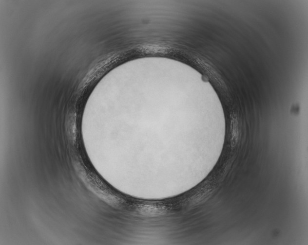 X0000115100494200912081302