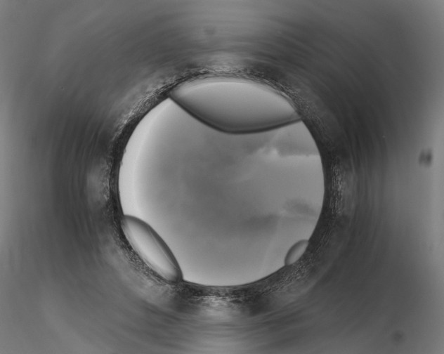 X0000115100496200912081302