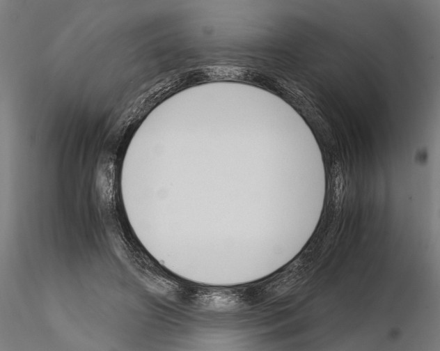 X0000115100498200912081302