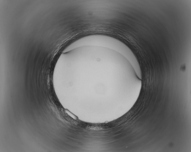 X0000115100500200912081302