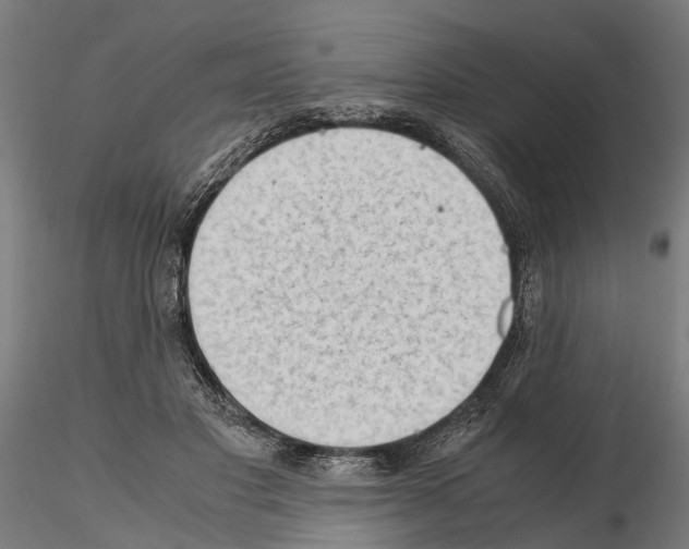 X0000115100501200912081302