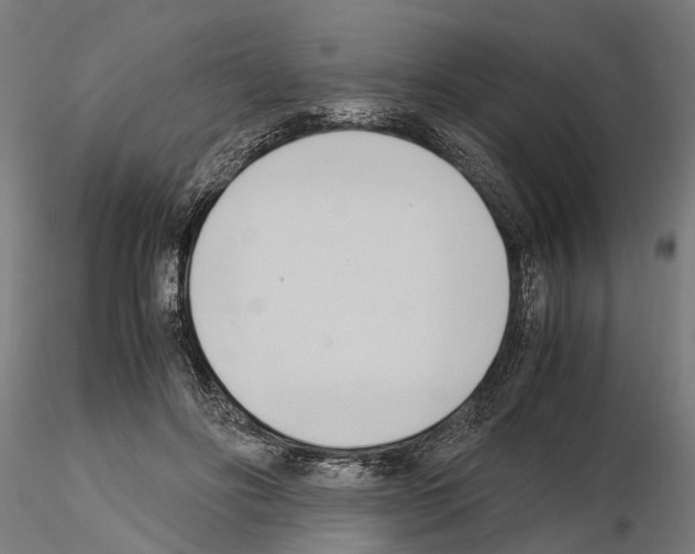 X0000115100502200912081302