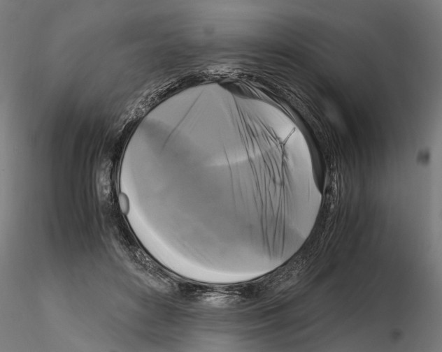 X0000115100504200912081302