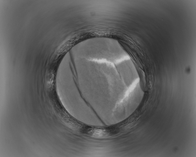 X0000115100507200912081302