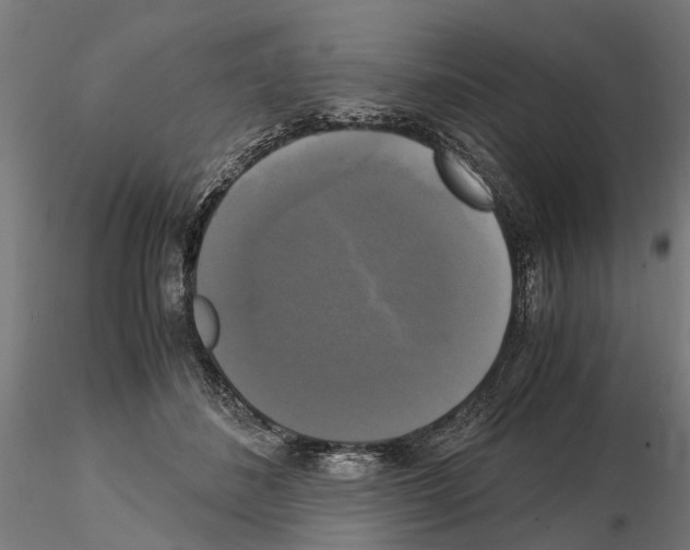 X0000115100508200912081302