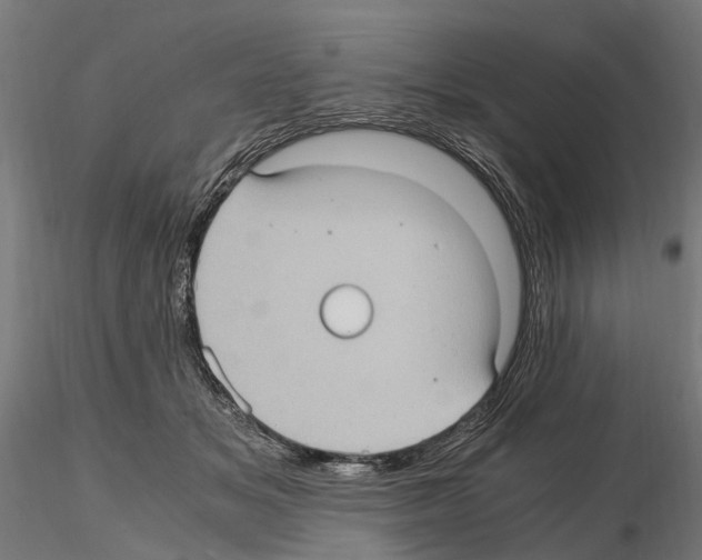 X0000115100509200912081302