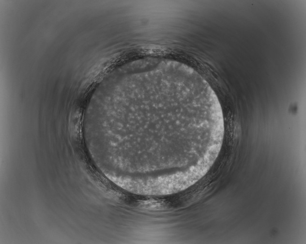 X0000115100511200912081302