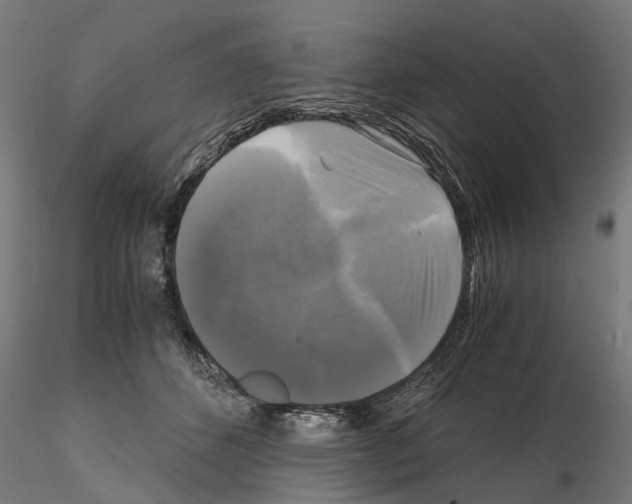 X0000115100512200912081302