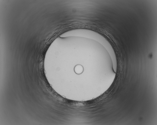 X0000115100513200912081302