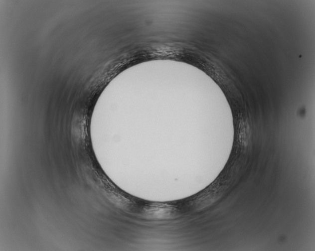 X0000115100514200912081302