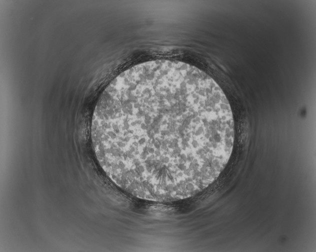 X0000115100515200912081302