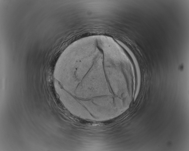 X0000115100517200912081302