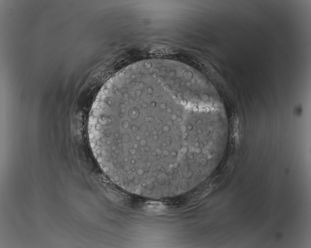 X0000115100519200912081302