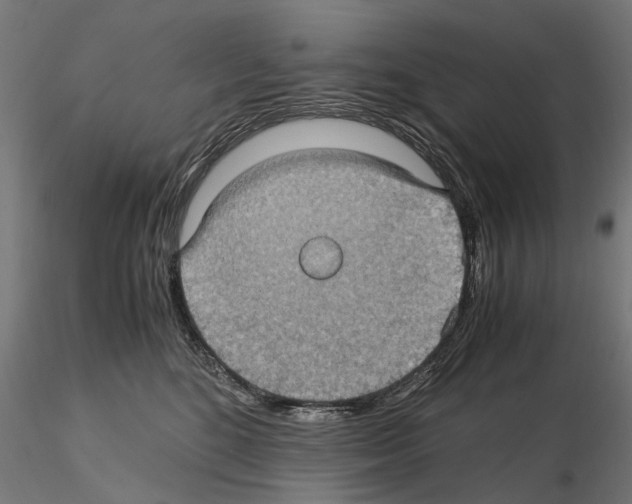 X0000115100520200912081302