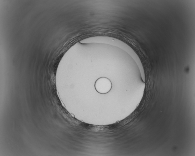 X0000115100521200912081302