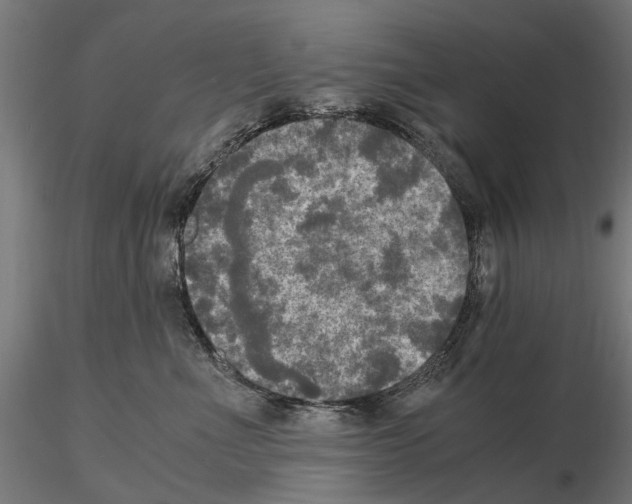 X0000115100523200912081301