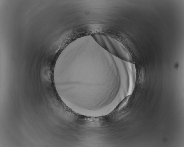 X0000115100524200912081301