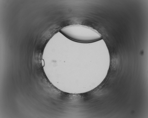 X0000115100525200912081301