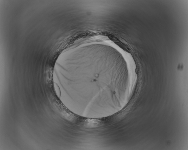 X0000115100528200912081301