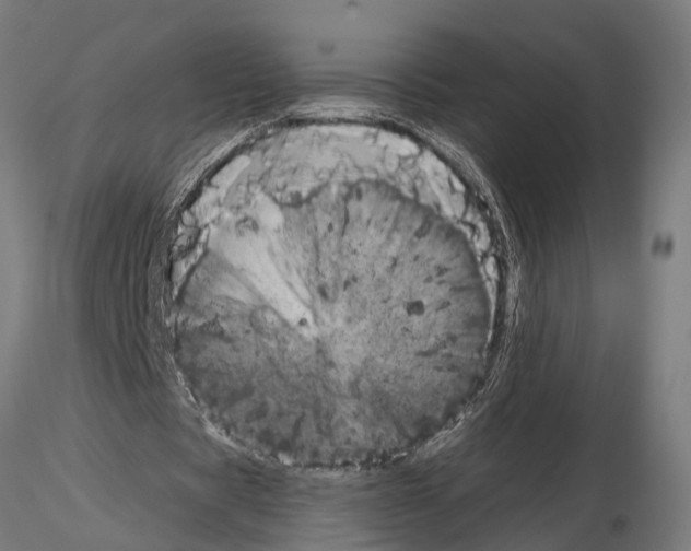 X0000115100529200912081301