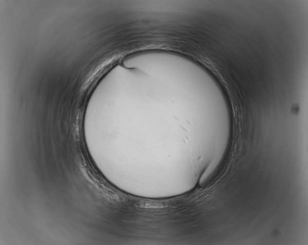 X0000115100531200912081301