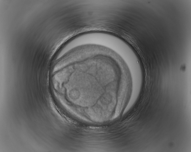 X0000115100534200912081301