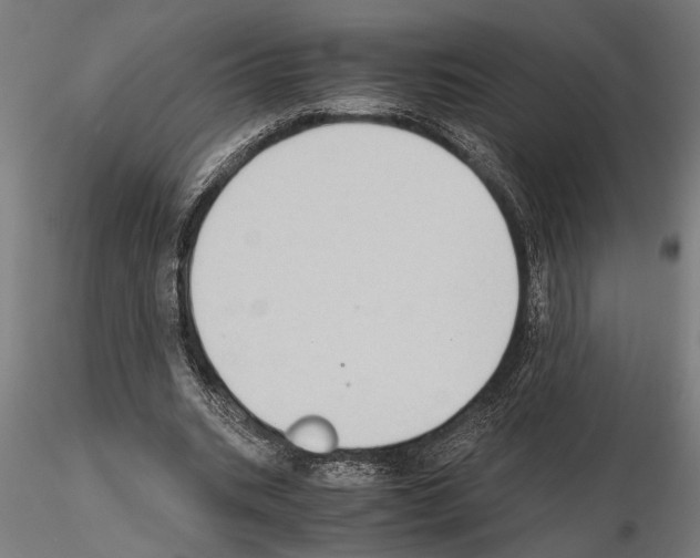 X0000115100535200912081301