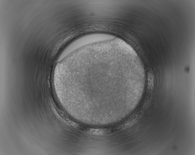 X0000115100538200912081301