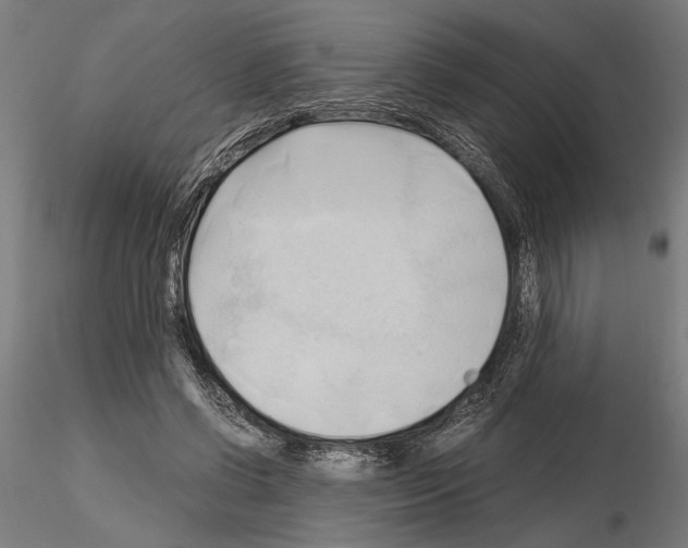 X0000115100542200912081301