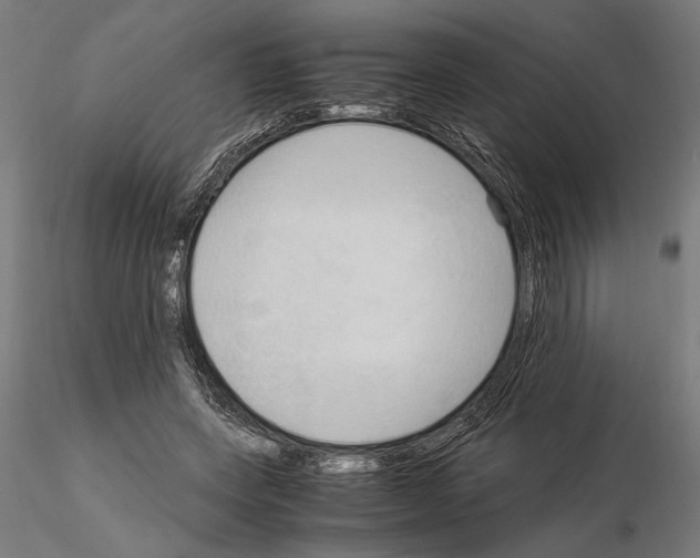 X0000115100543200912081301