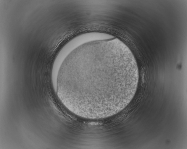 X0000115100546200912081301