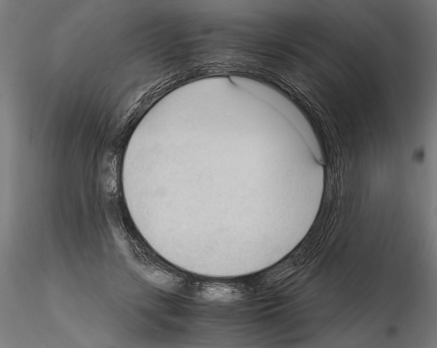 X0000115100547200912081301